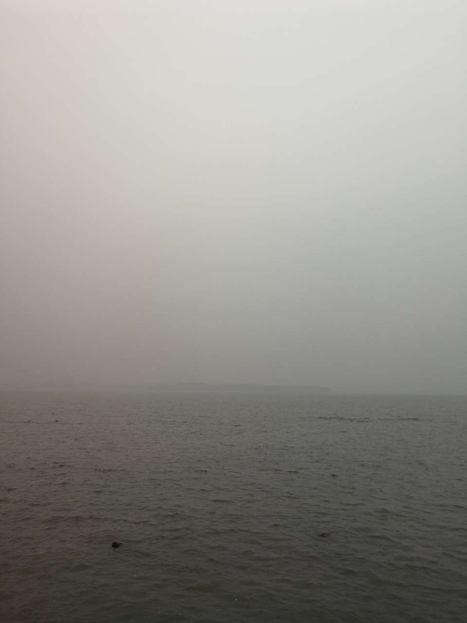 20180123_191522_1516698690689.jpg