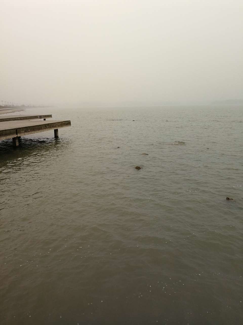 20180123_191522_1516698690476.jpg