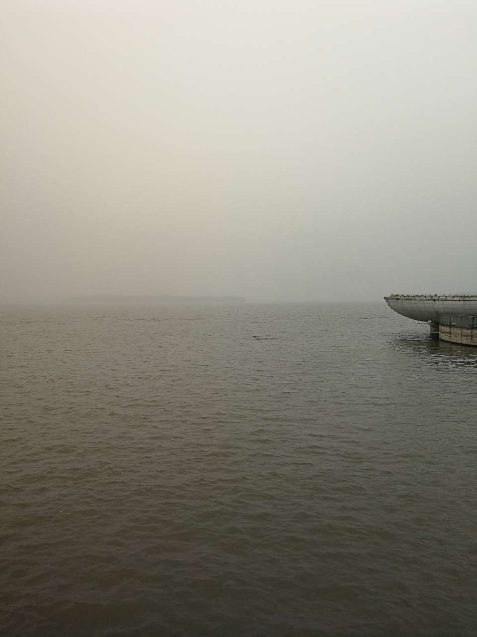 20180123_191522_1516698691321.jpg