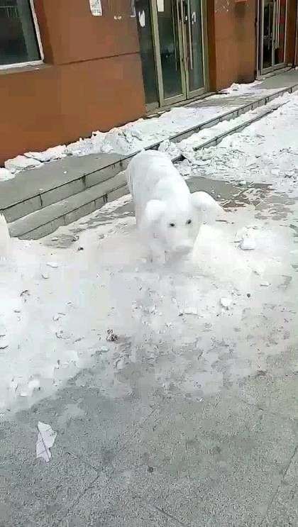 20180127_191522_1517017300158.jpg