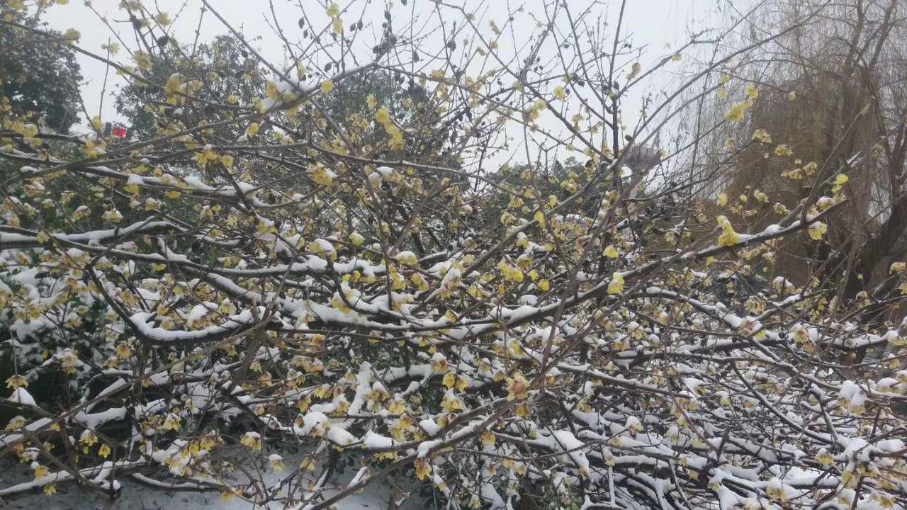 20180127_191522_1517043260657.jpg