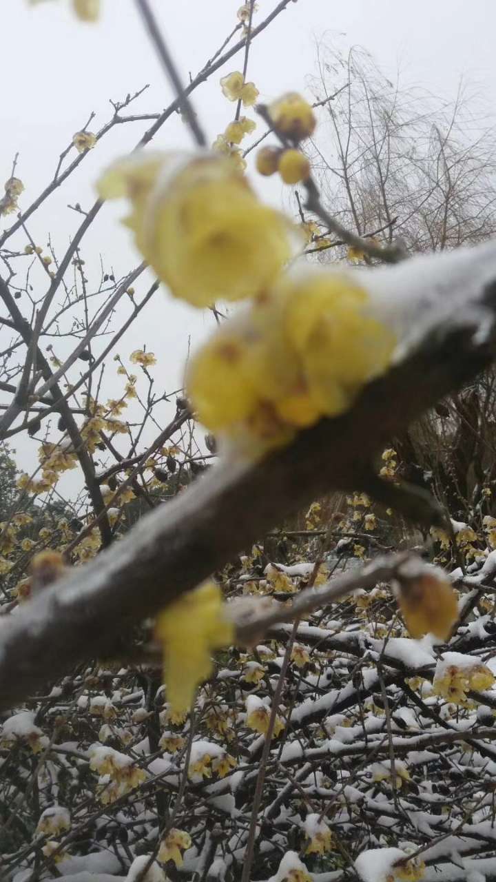 20180127_191522_1517043260856.jpg