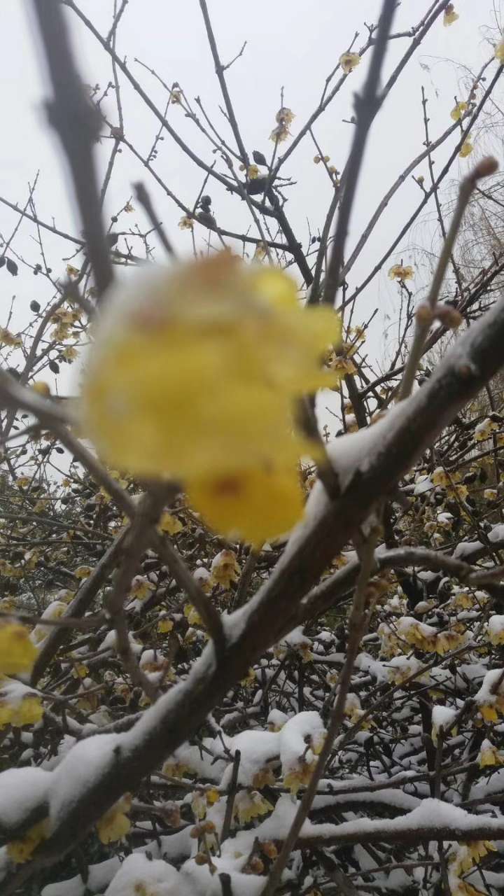 20180127_191522_1517043260785.jpg