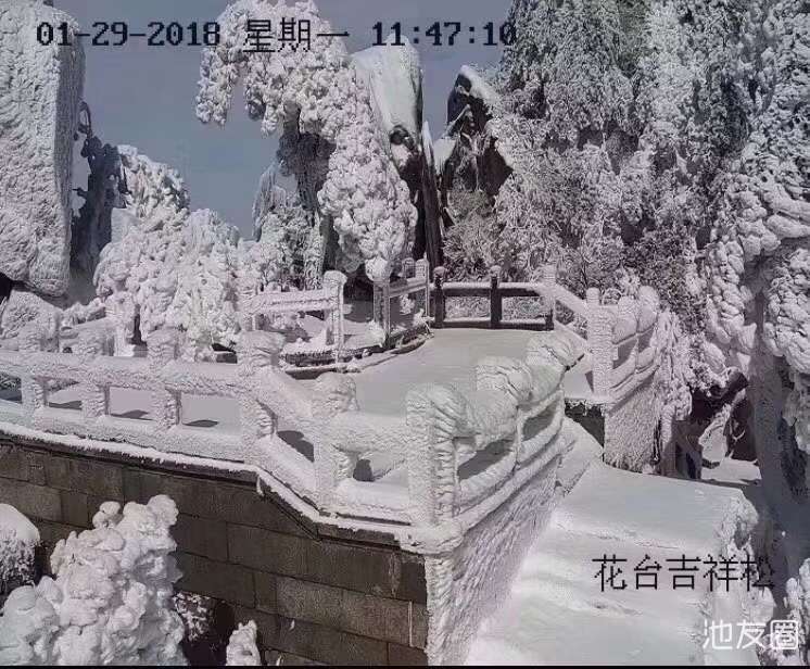 20180129_191522_1517218061144.jpg