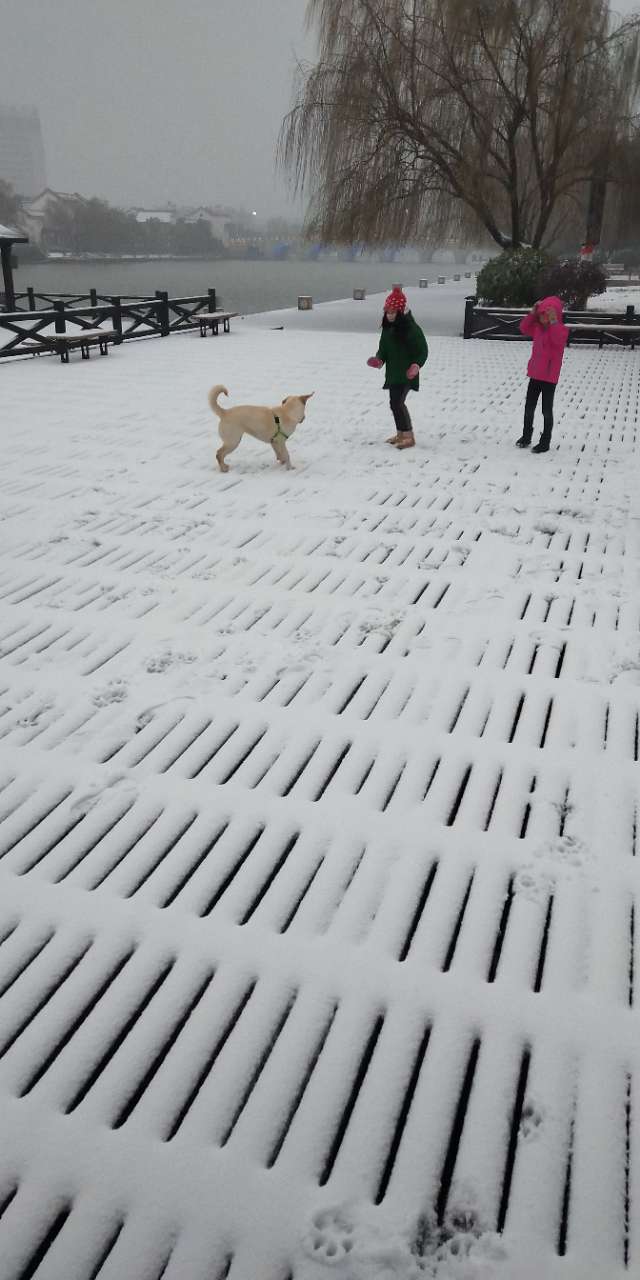20180129_287726_1517229614211.jpg