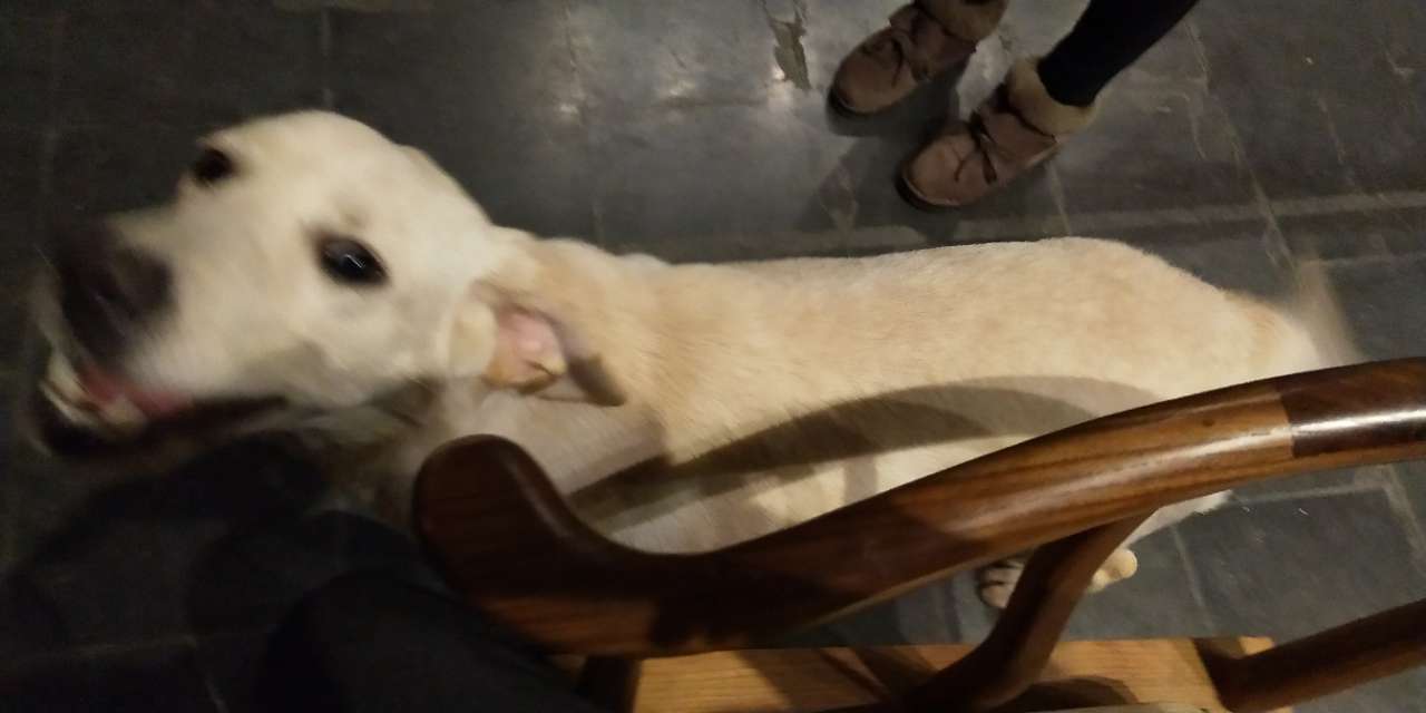 20180129_287726_1517229614487.jpg