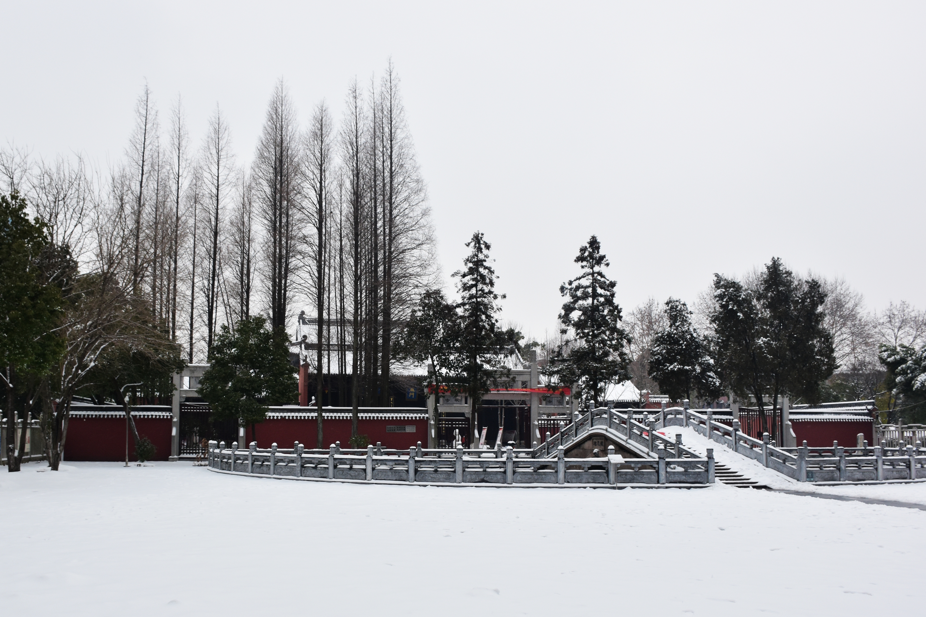 DSC_0023.JPG