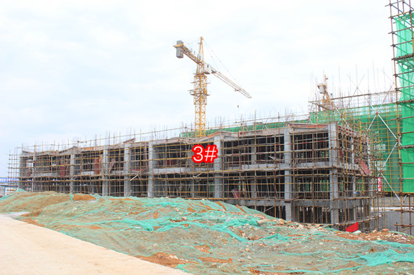 【工程进度】顺达观湖花园2月进度,稀缺湖景多