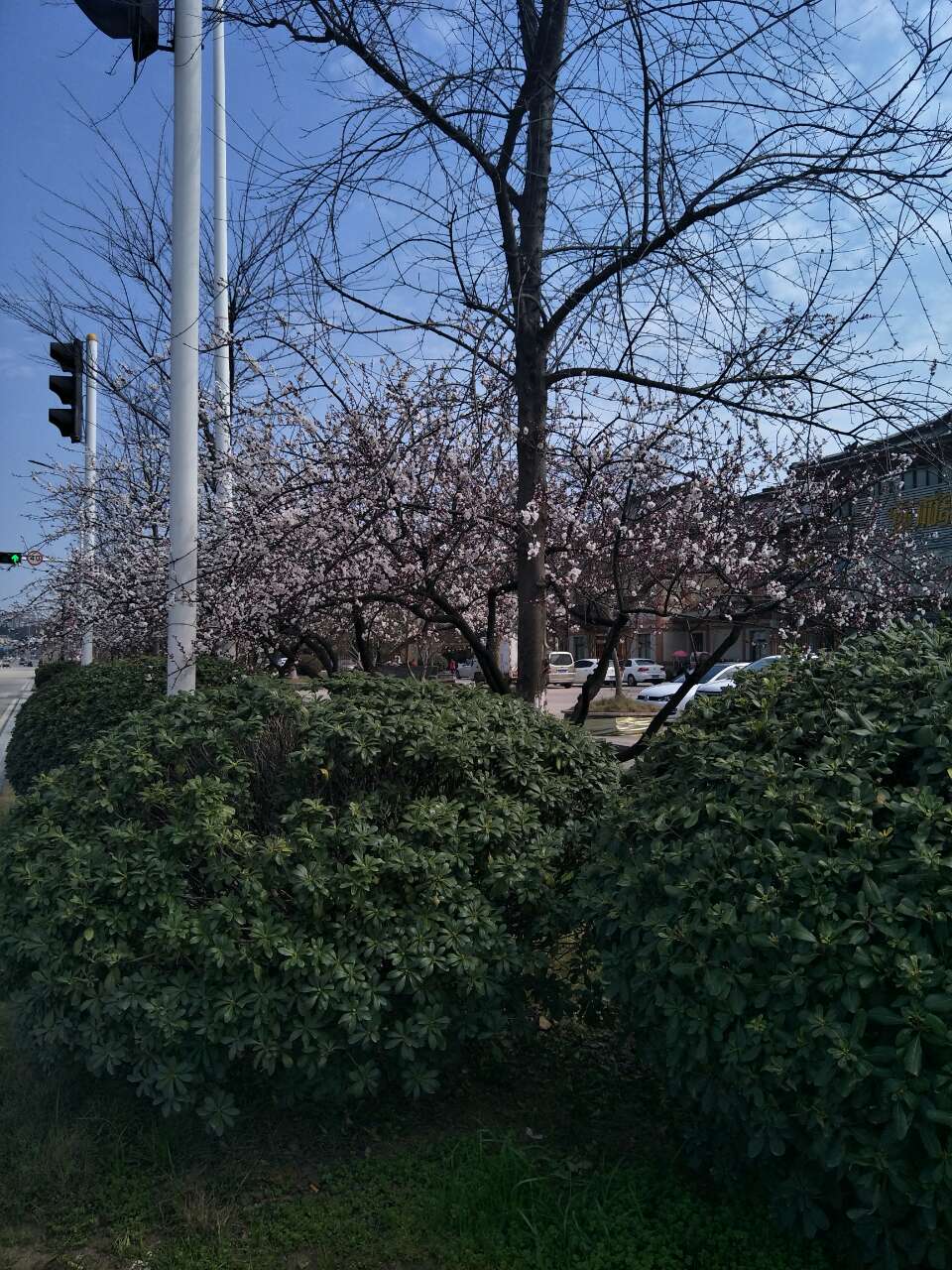 20180313_276372_1520937327103.jpg