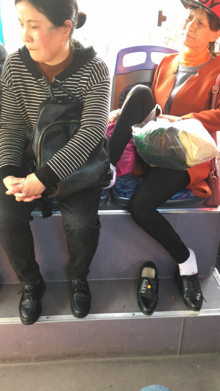 201803281766311522227057257194.jpg