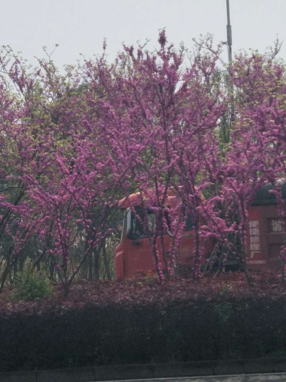 20180331_276372_1522476438722.jpg