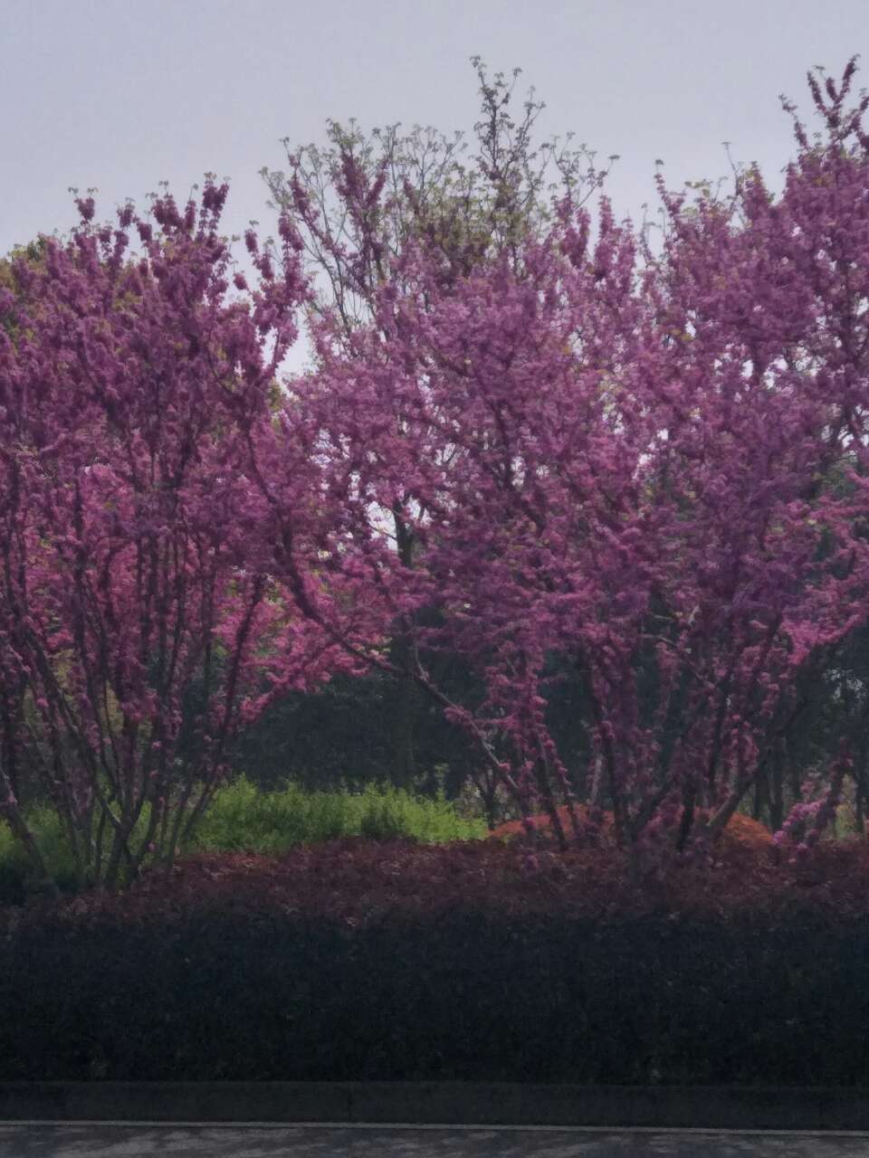 20180331_276372_1522476438369.jpg