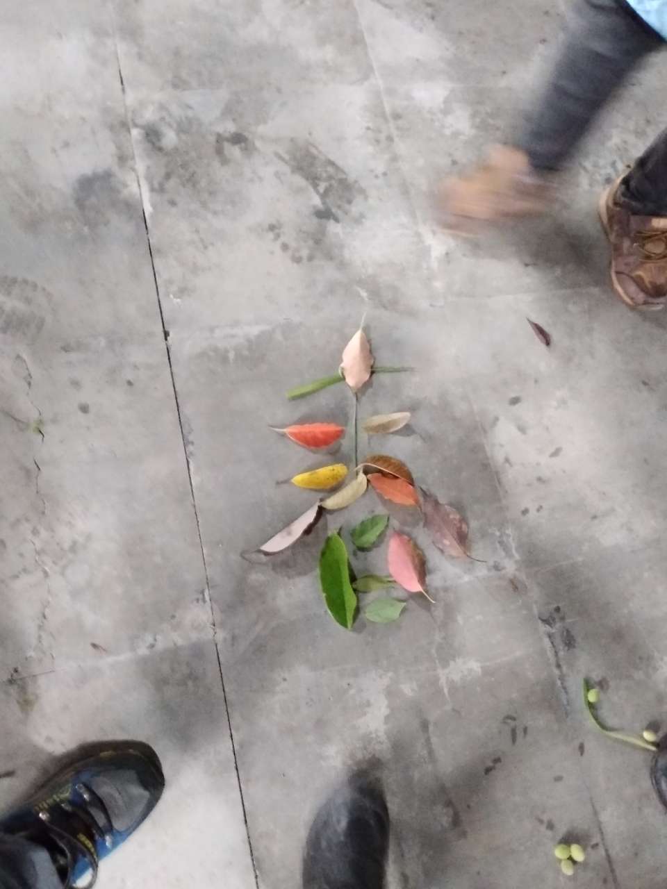 20180414_274967_1523701718740.jpg