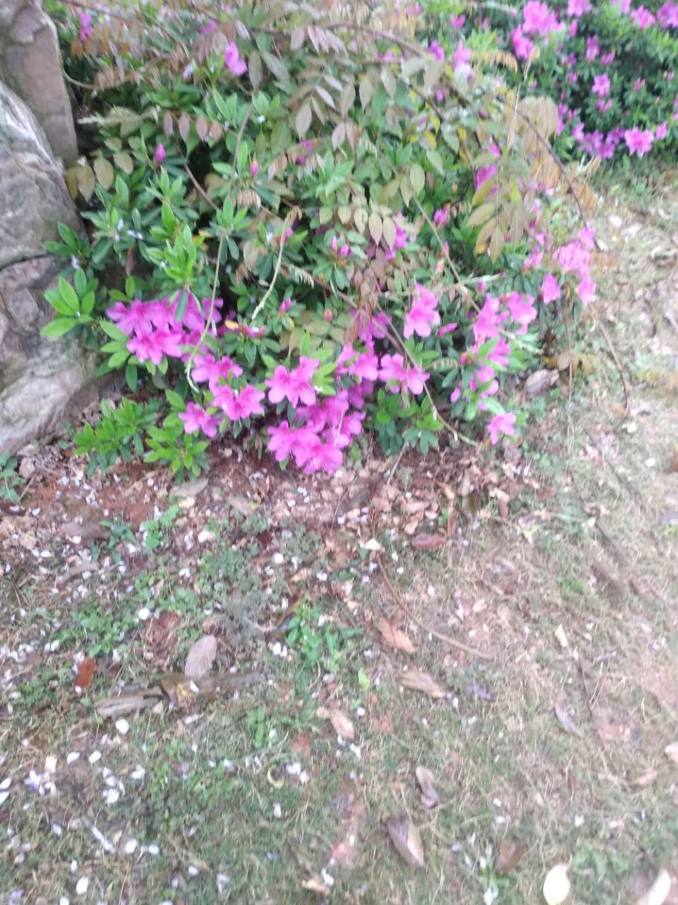 20180414_274967_1523701719182.jpg