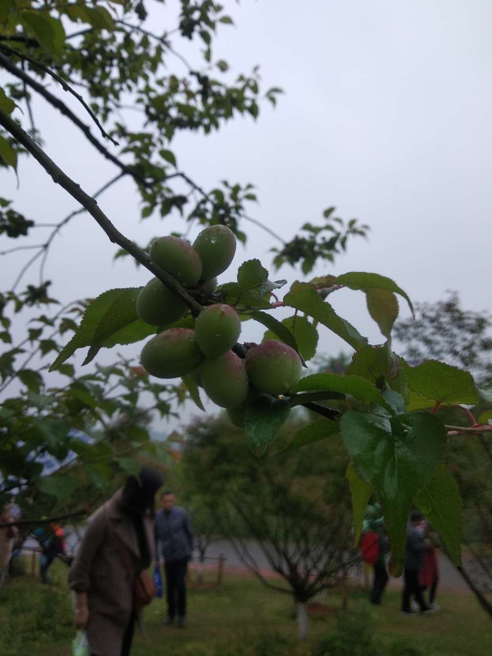 20180414_274967_1523701720201.jpg