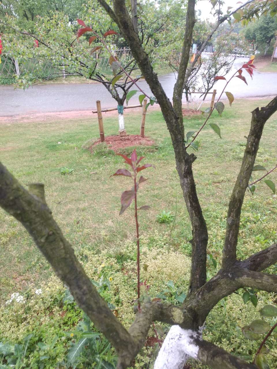 20180414_274967_1523701720673.jpg