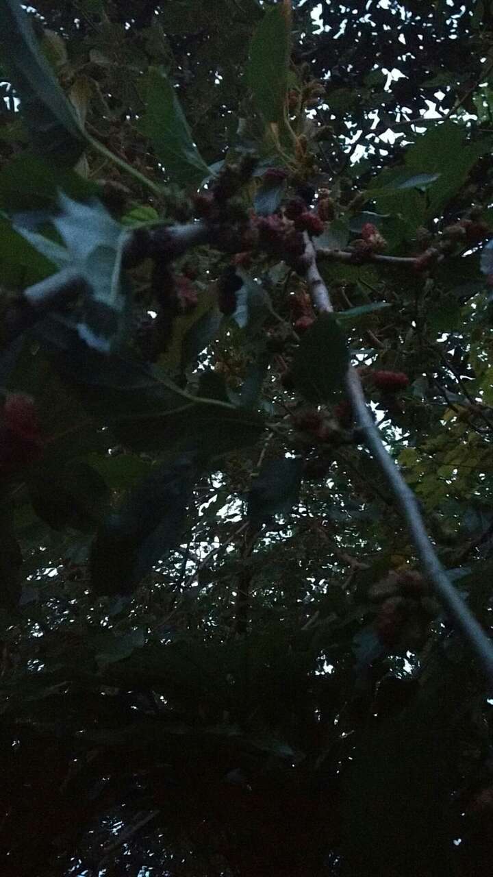 20180507_287664_1525622951155.jpg