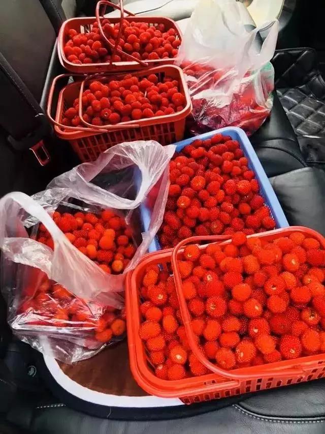 微信图片_20180507110123.jpg
