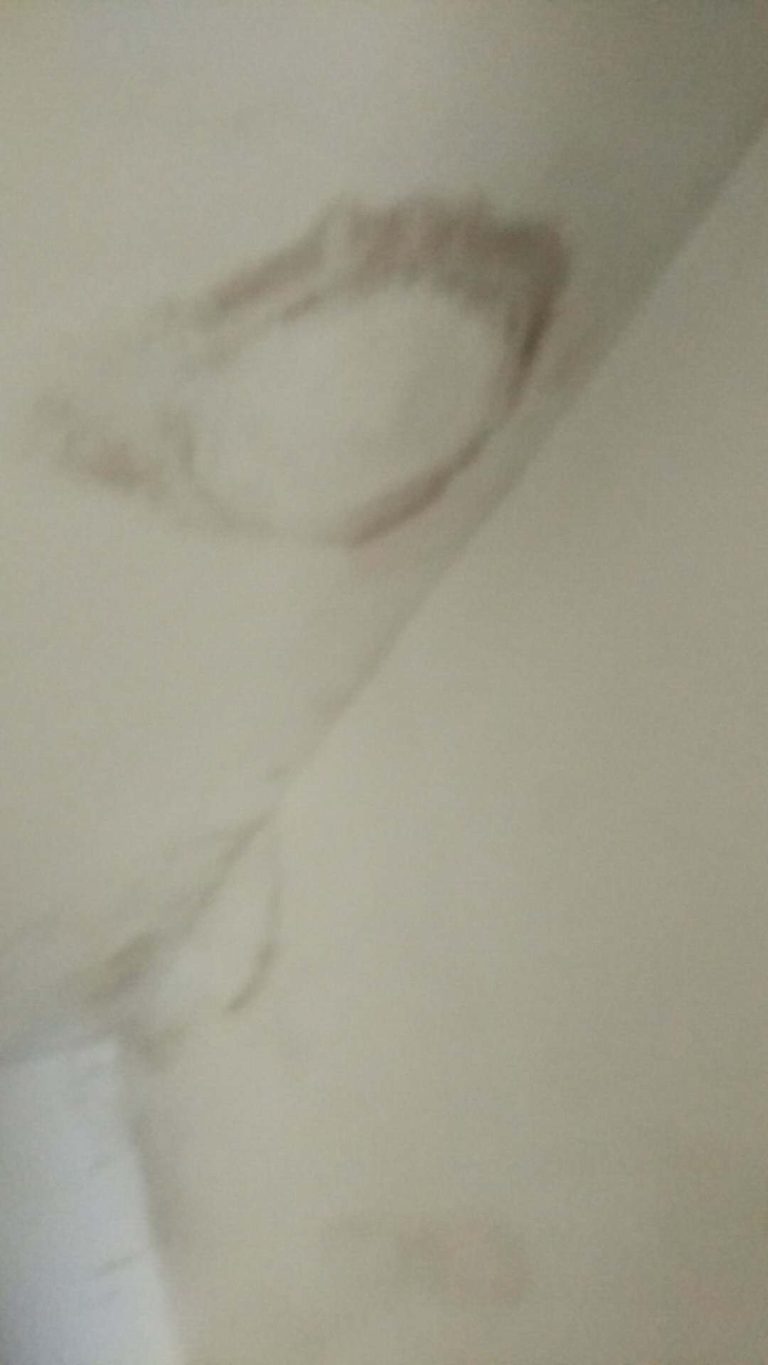 125791166150785227.jpg