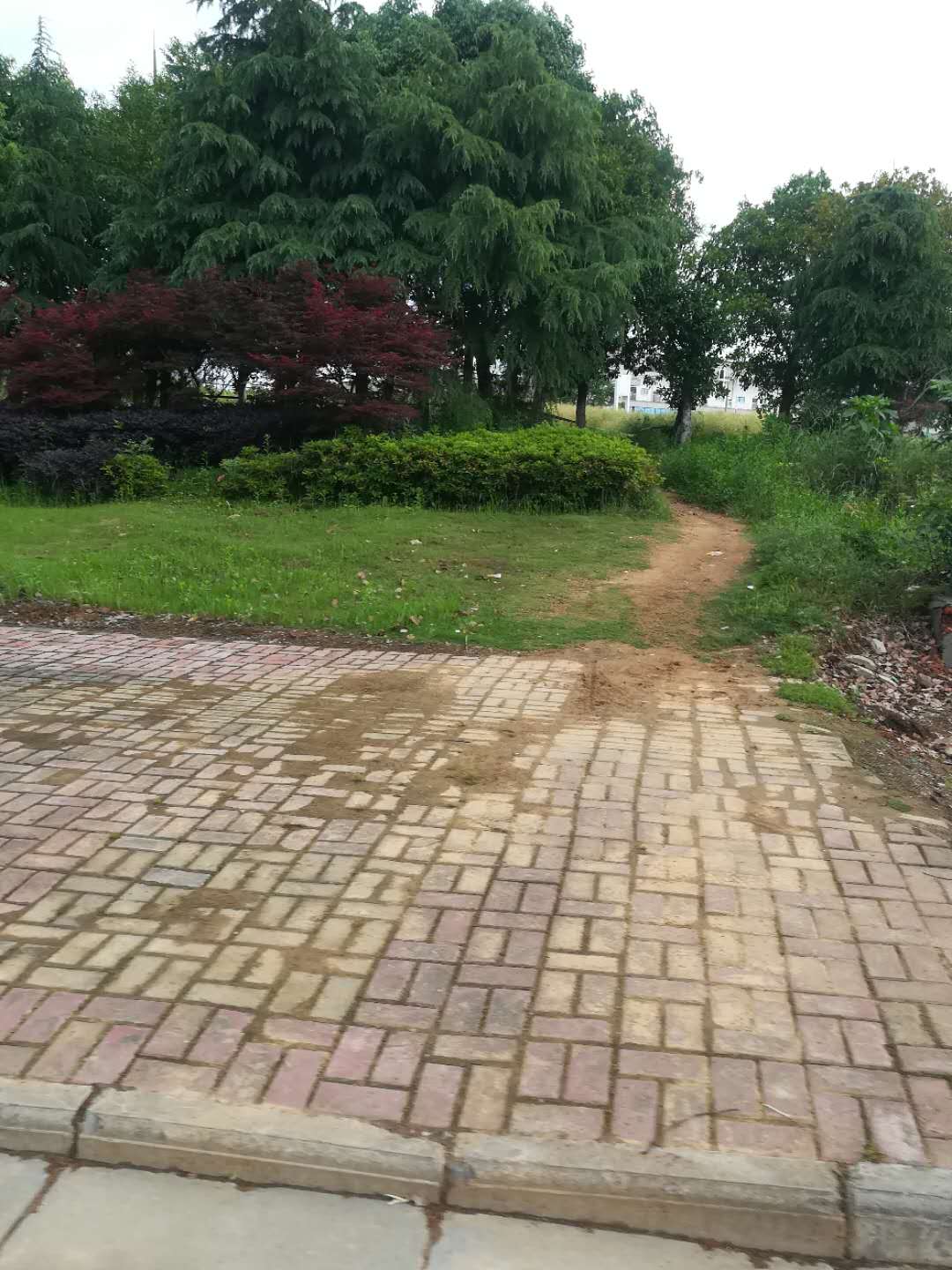 微信图片_20180507165356.jpg