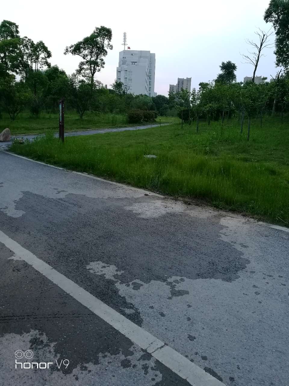 20180516_221296_1526473821819.jpg