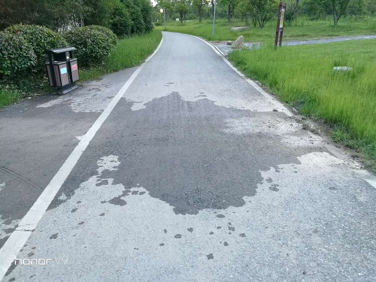 20180516_221296_1526473822102.jpg