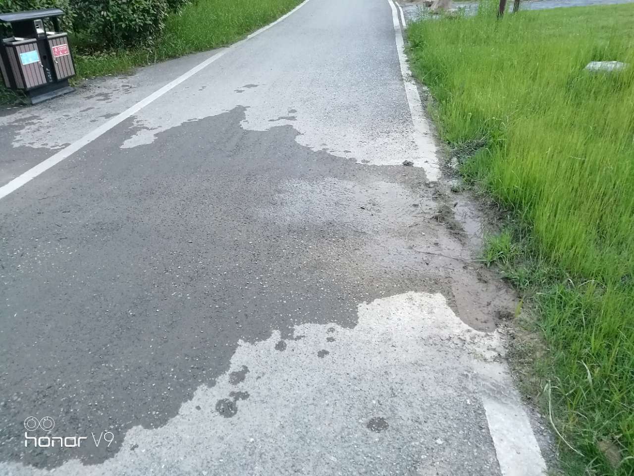 20180516_221296_1526473822392.jpg