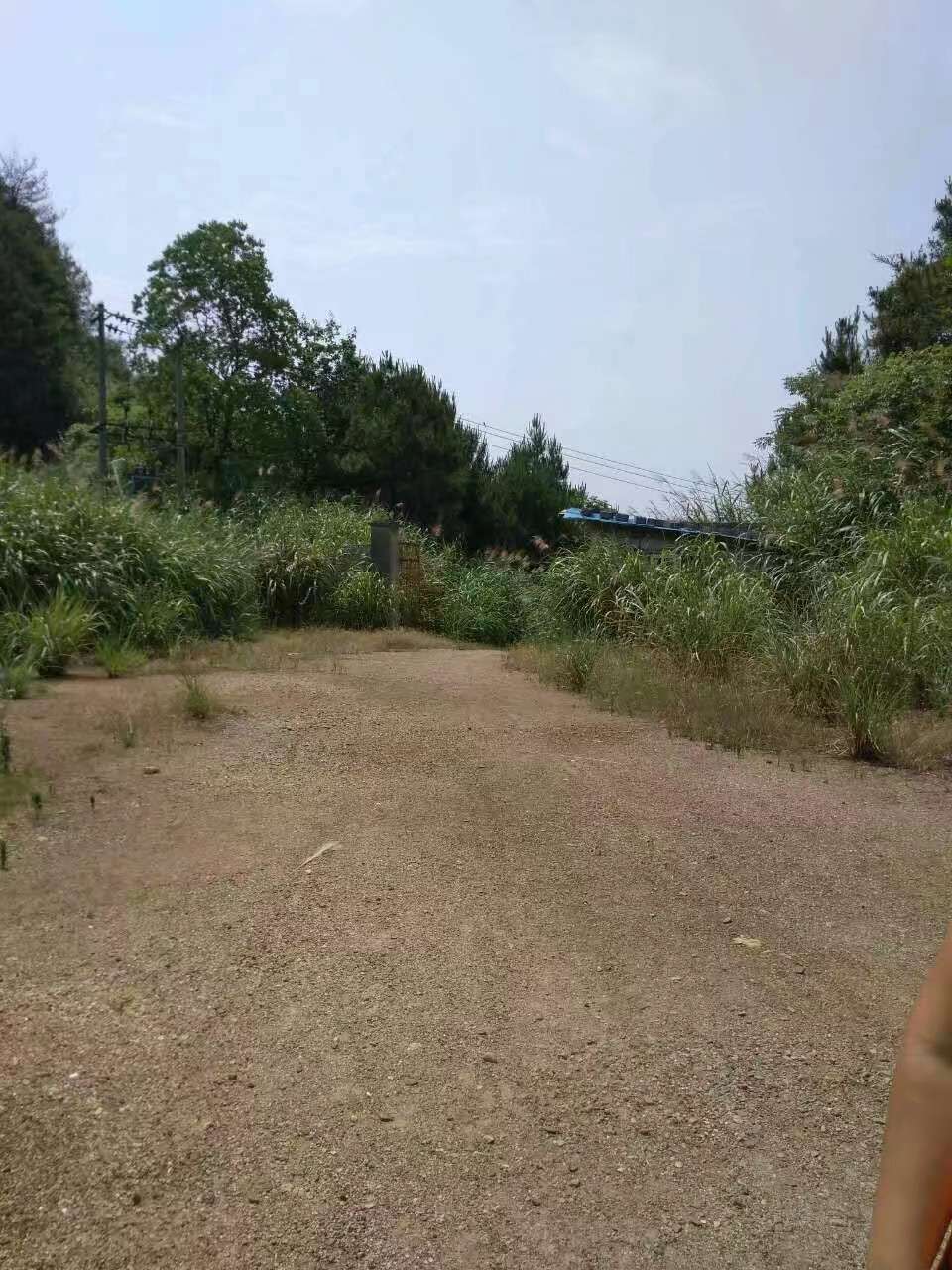 20180622_295537_1529647005235.jpg