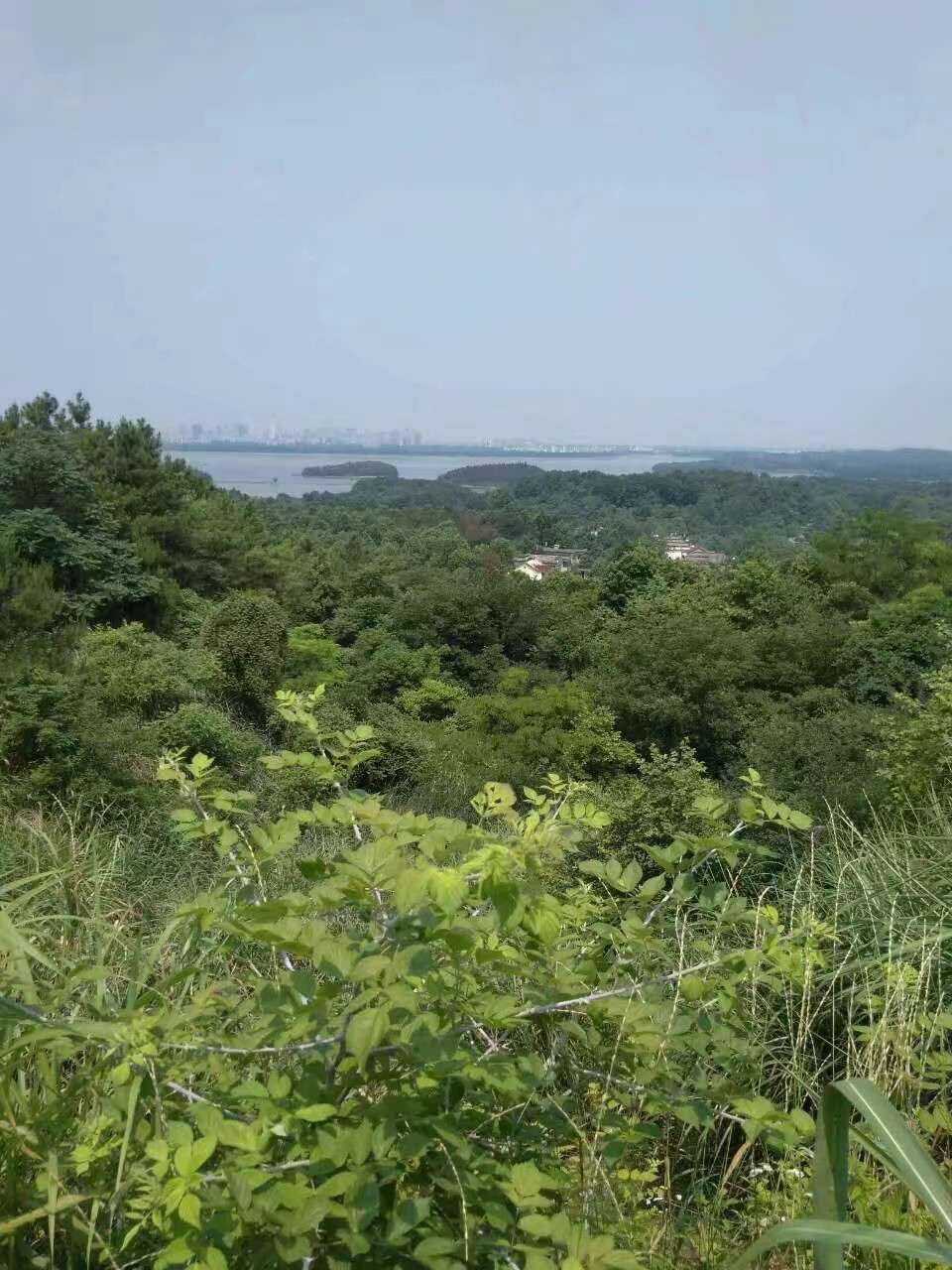 20180622_295537_1529647005291.jpg