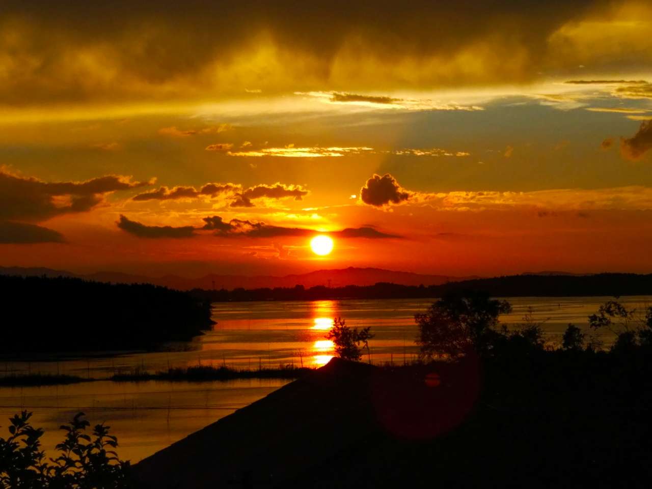 20180715_235798_1531667186511.jpg