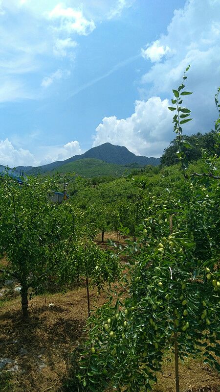20180731_238941_1533012907386.jpg