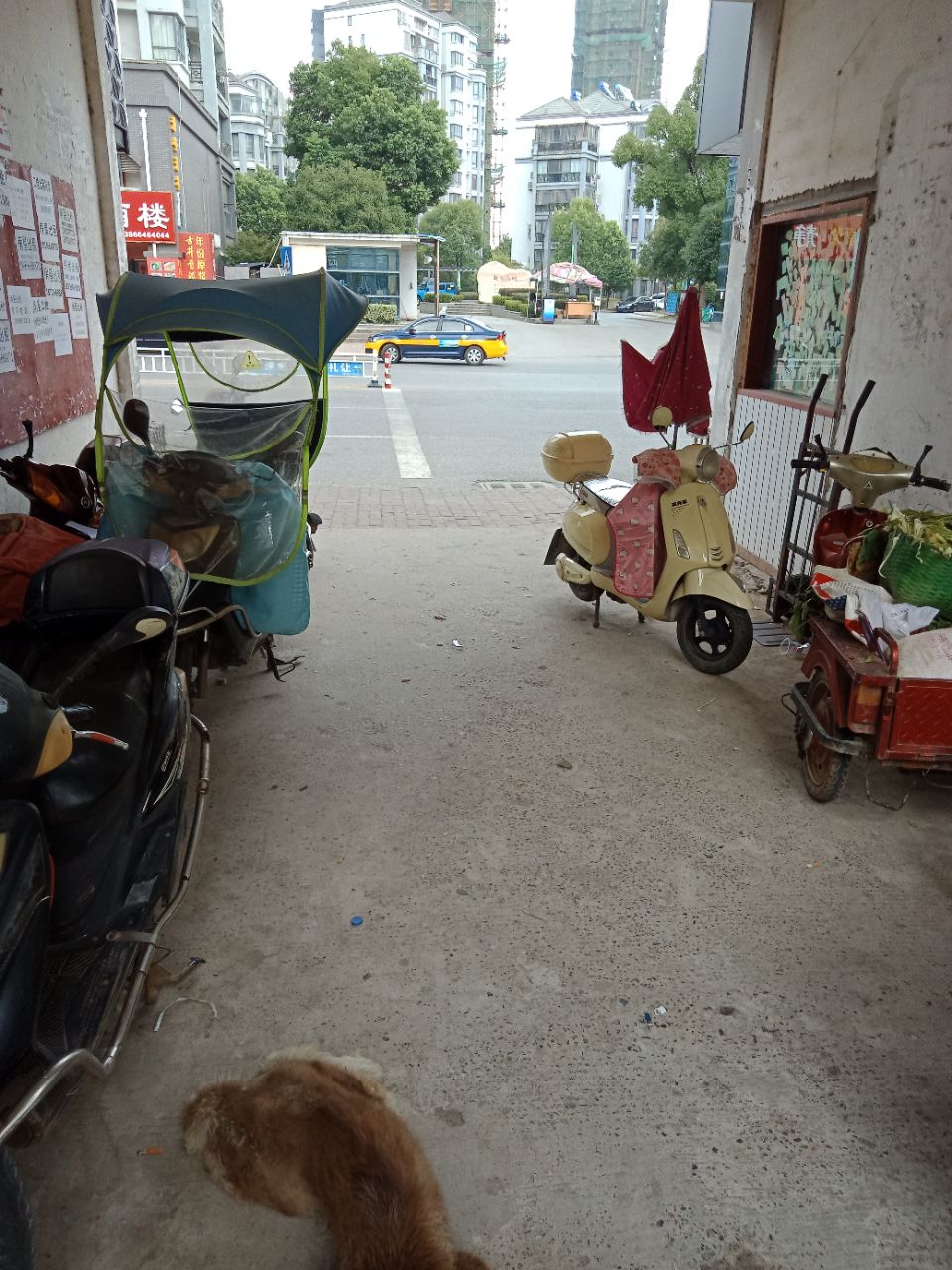 20180802_287546_1533186002243.jpg