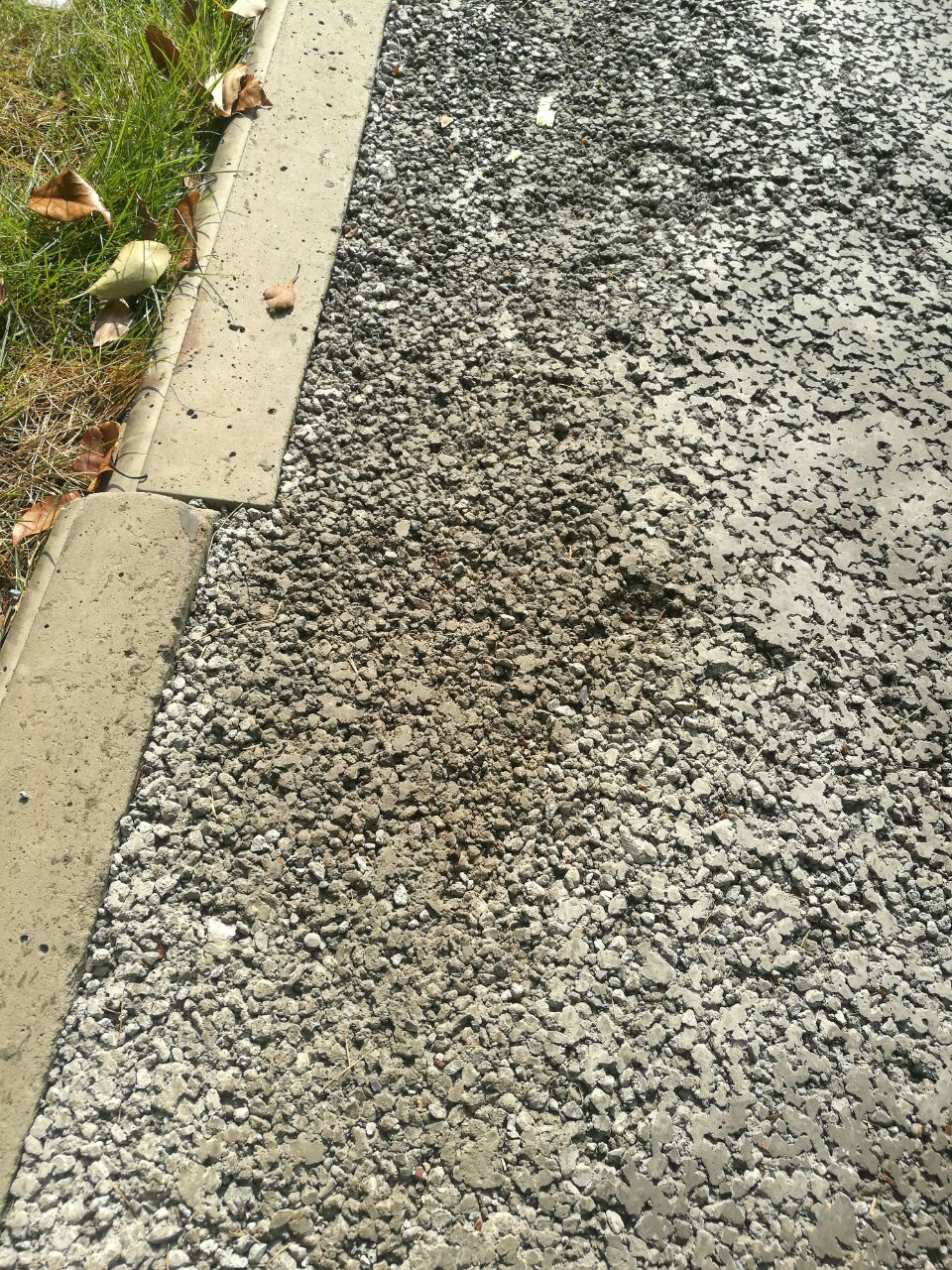 20180804_300536_1533344934485.jpg