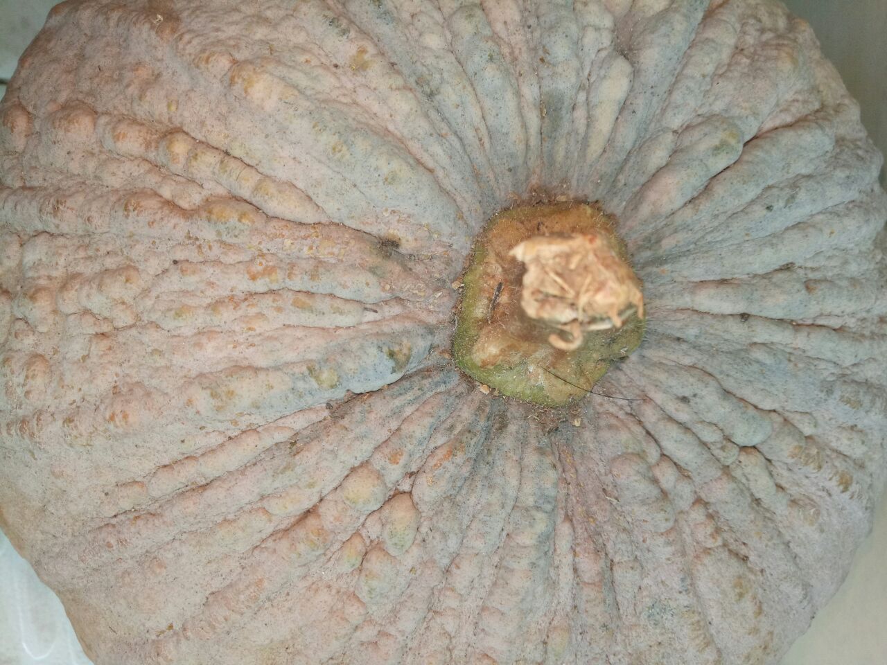 20180809_269525_1533786646186.jpg