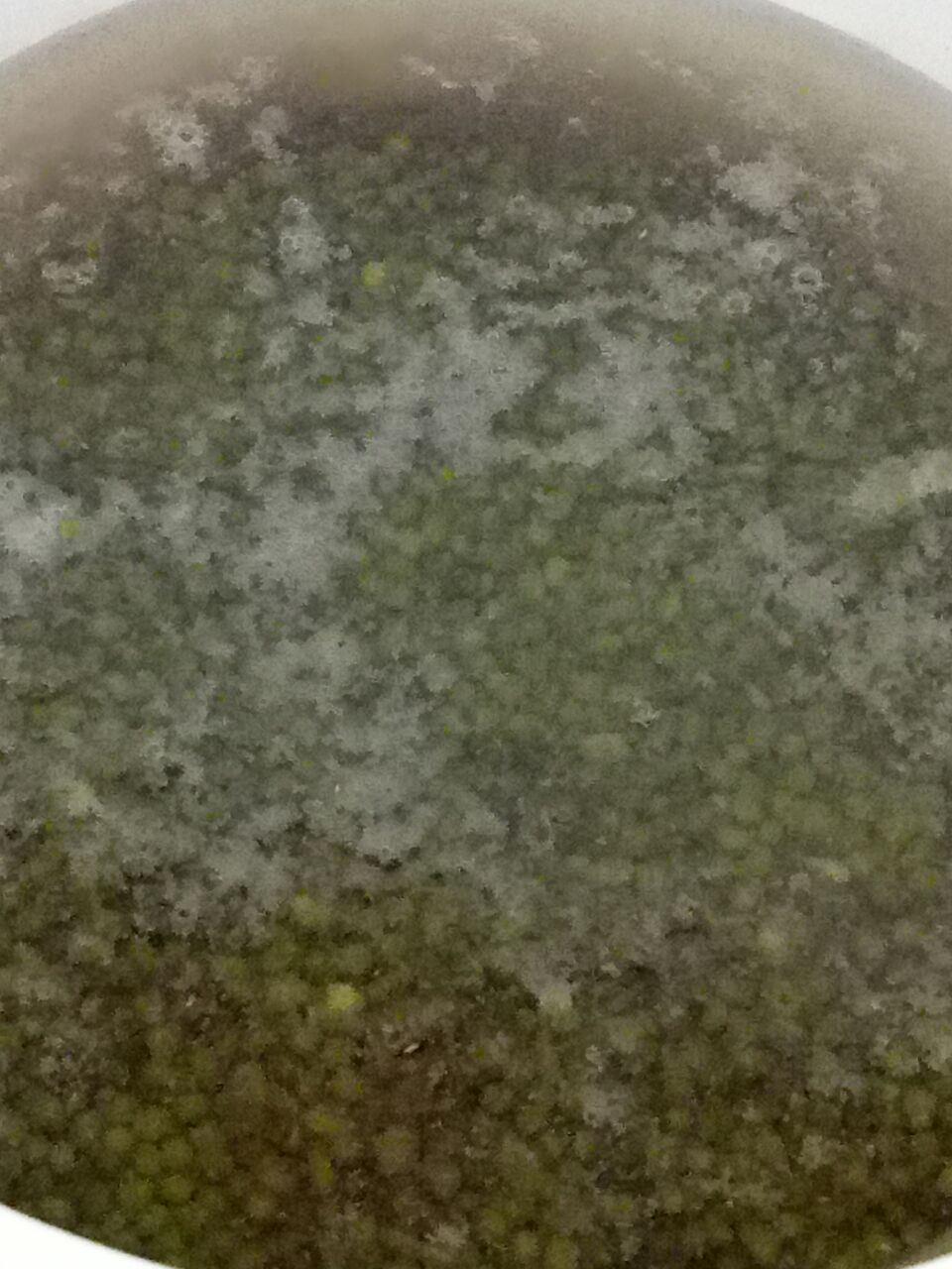 20180811_269525_1533952586037.jpg