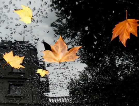 池城的第一场秋雨