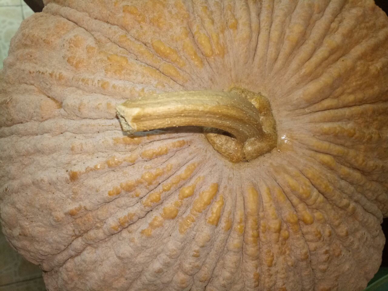 20180901_269525_1535753627679.jpg