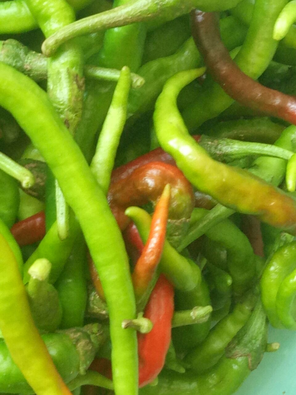 20180904_269525_1536032742865.jpg