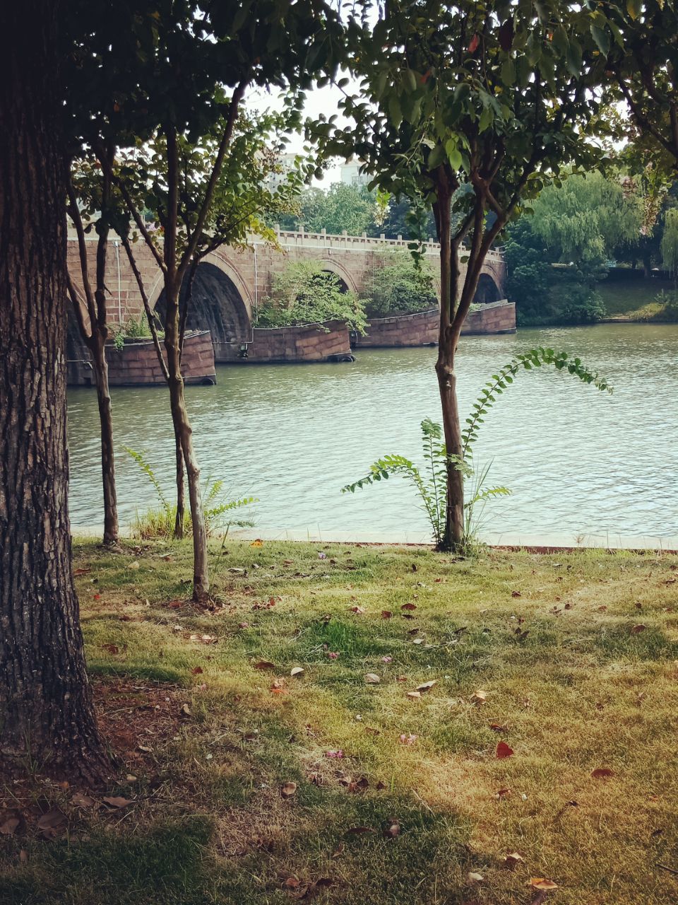 20180909_221455_1536472506299.jpg