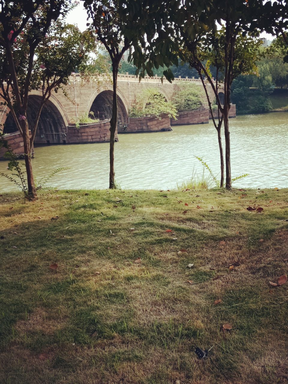 20180909_221455_1536472506824.jpg