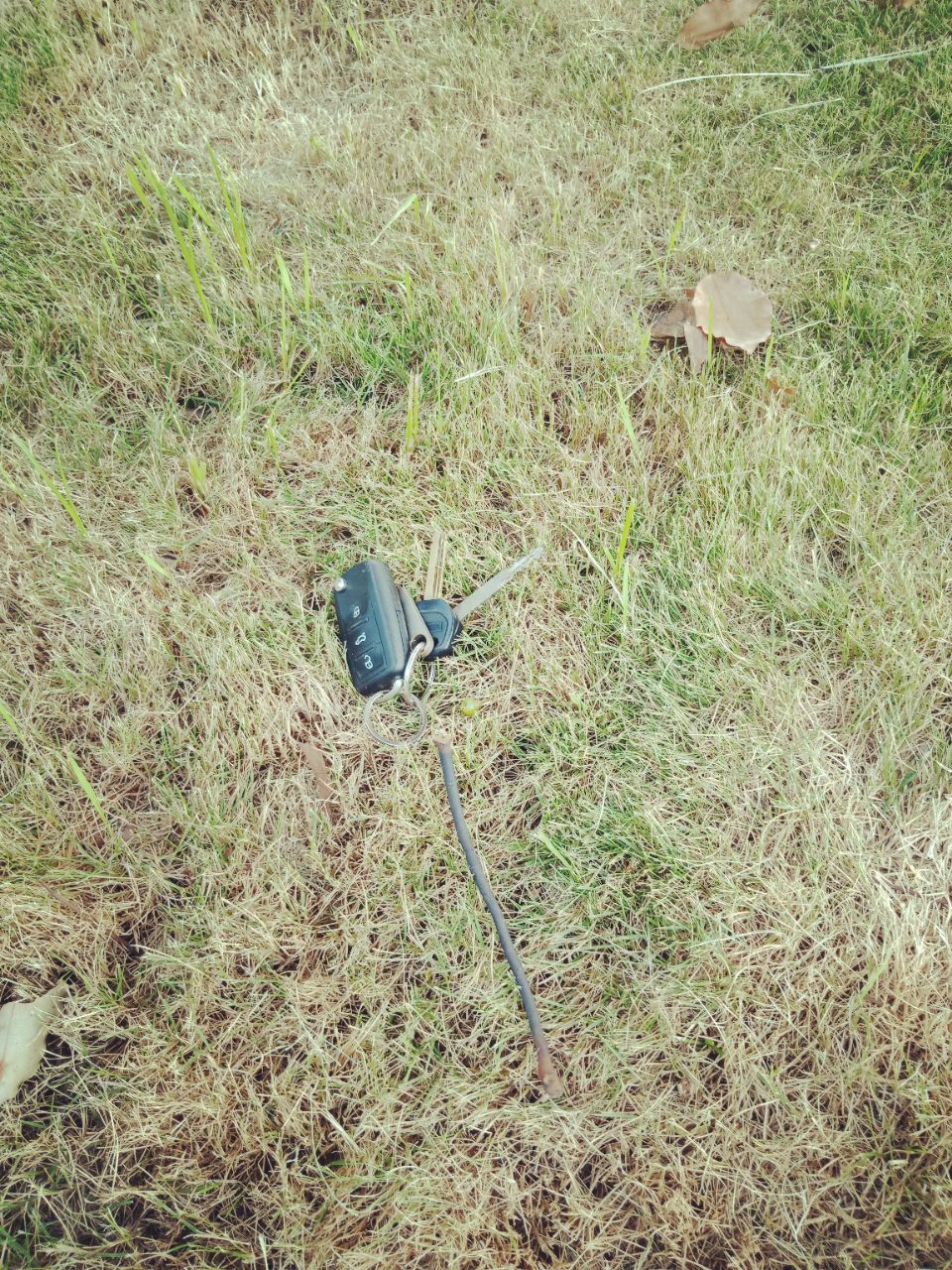 20180909_221455_1536472507804.jpg