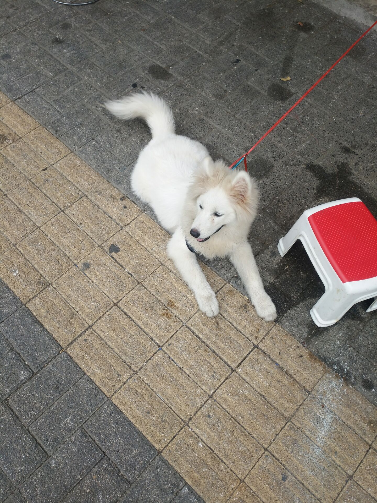 QQ图片20180911145730.jpg
