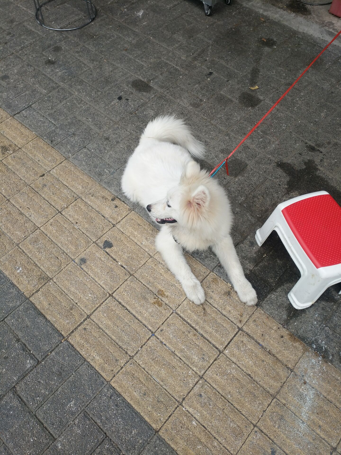 QQ图片20180911145746.jpg