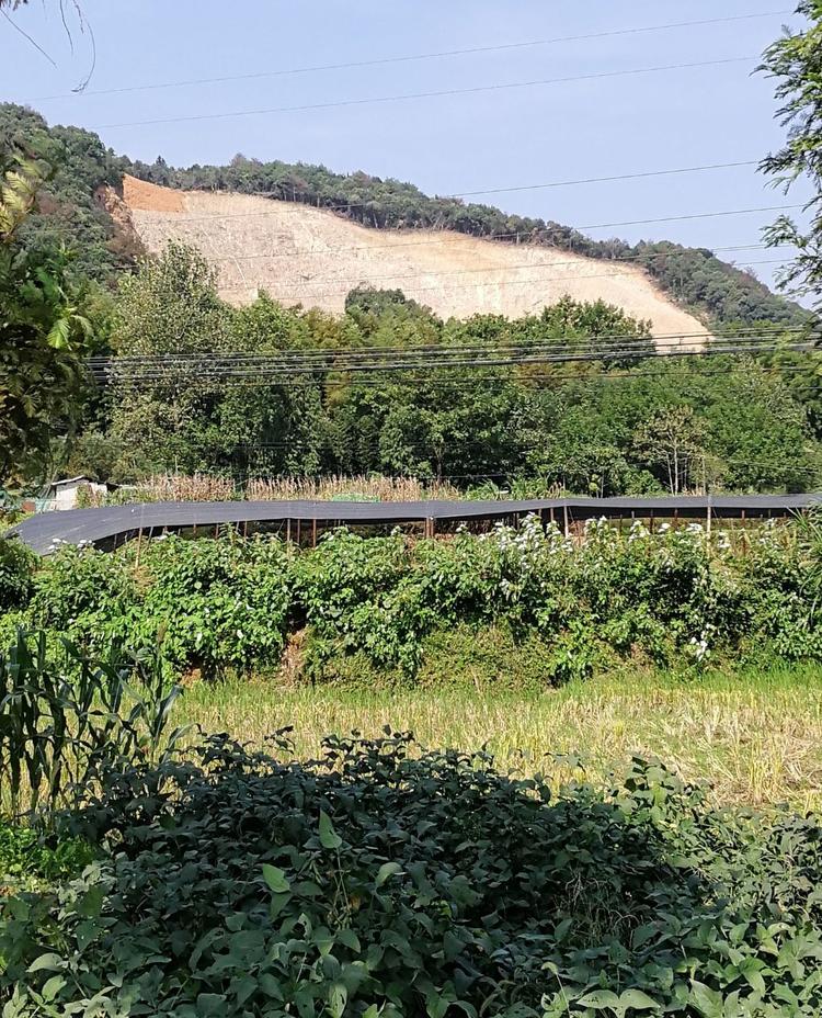 马衙街道童铺村318国道附近,这处被破坏的山体在治理了