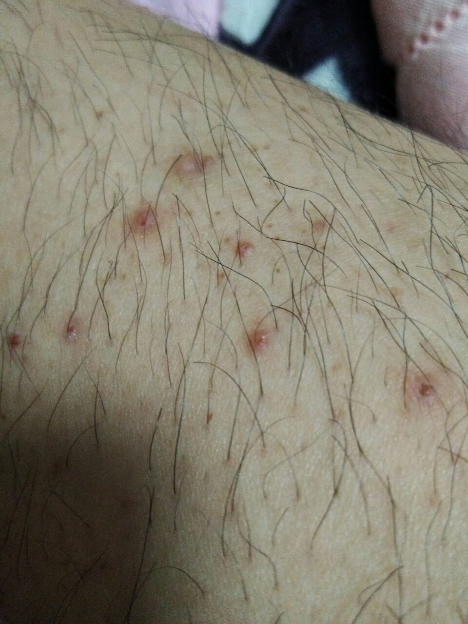 20181001_220171_1538328789786.jpg