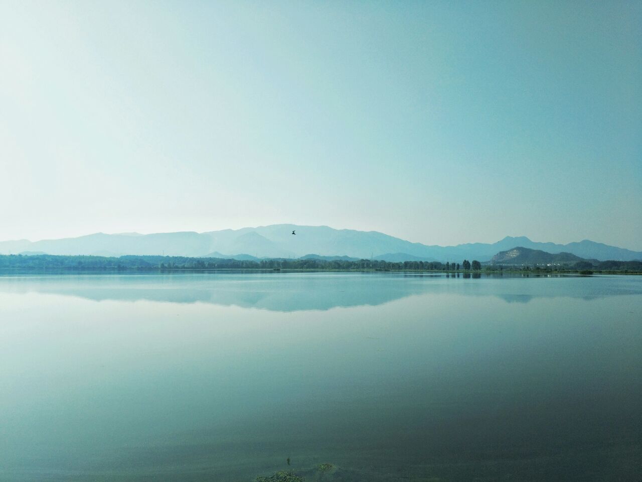 20181002_293053_1538492426447.jpg
