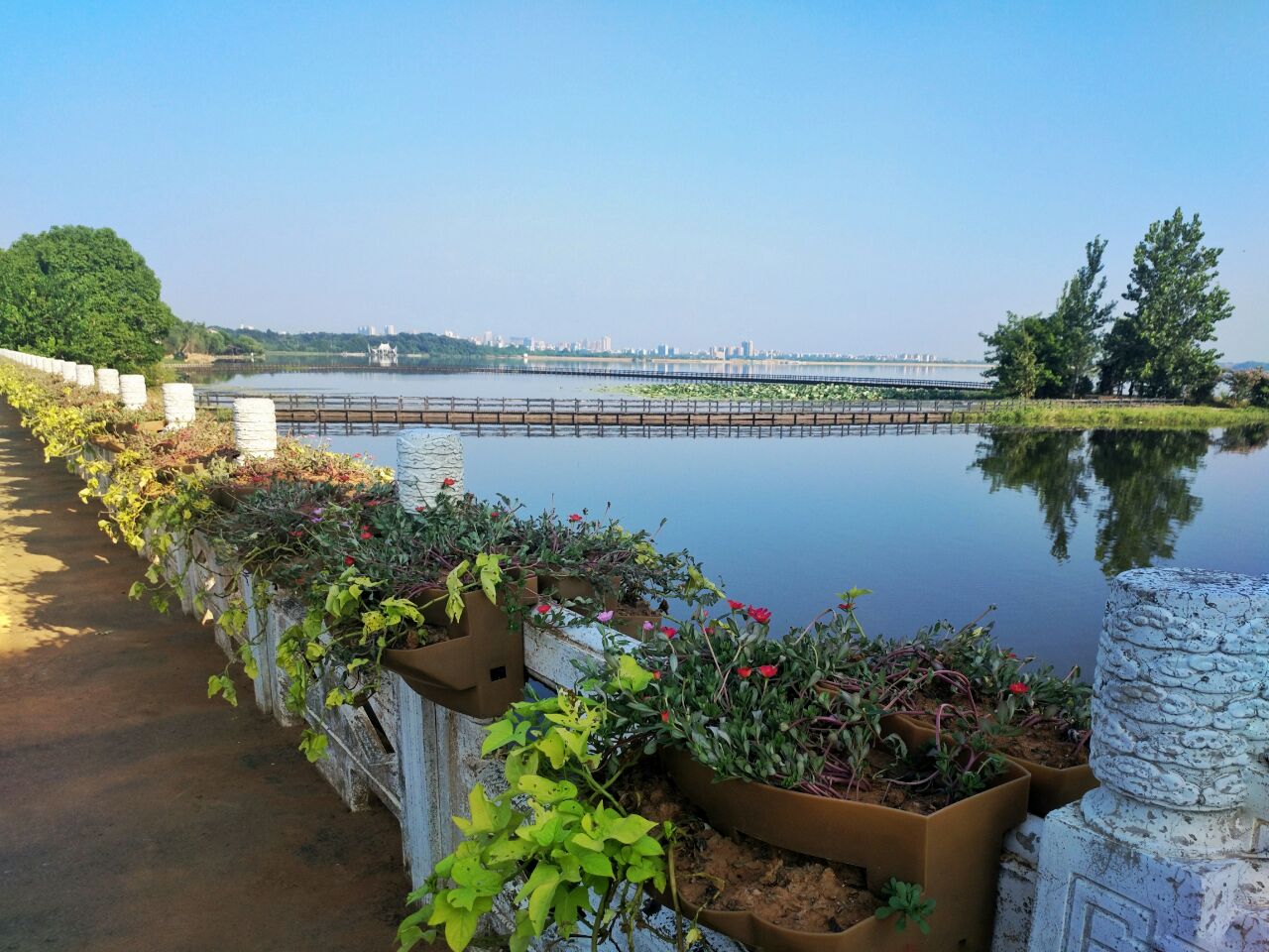 20181002_293053_1538492426837.jpg