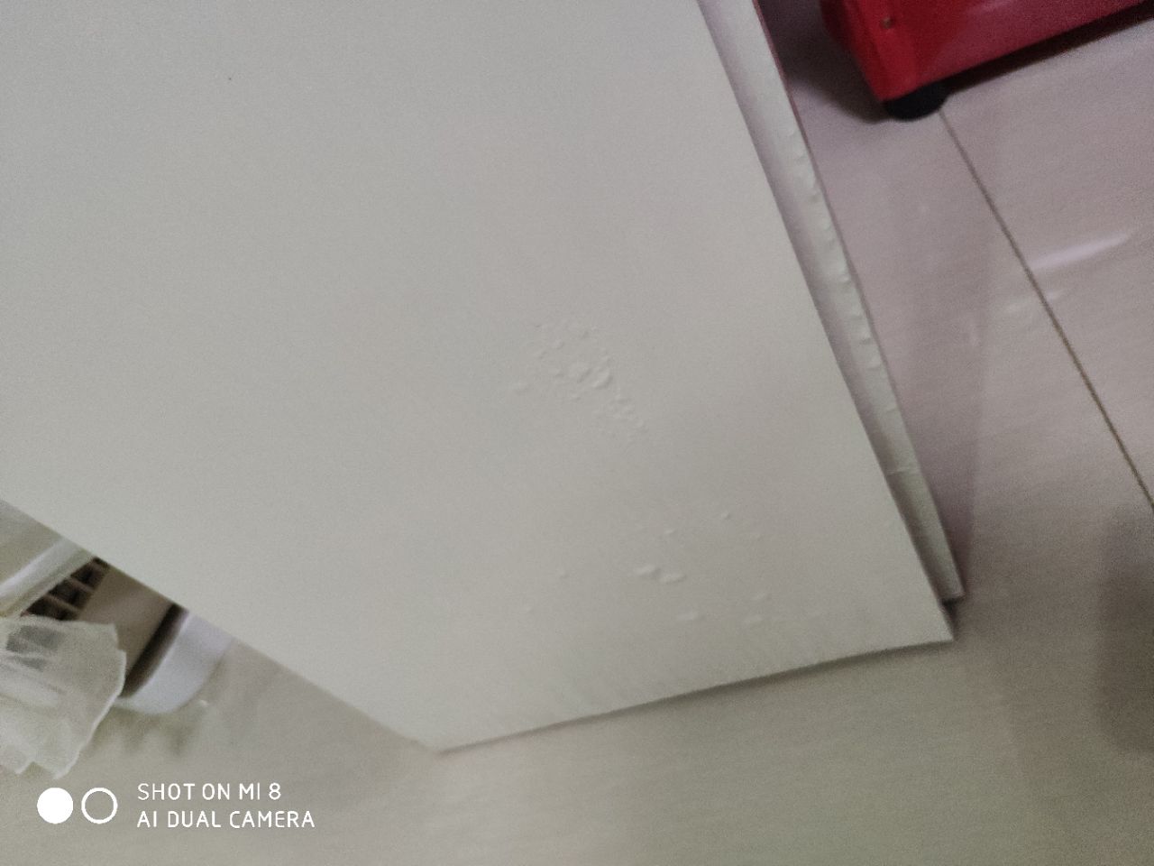 20181004_112644_1538654331491.jpg