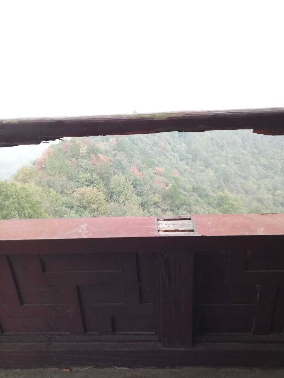 20181008_292421_1538966100447.jpg