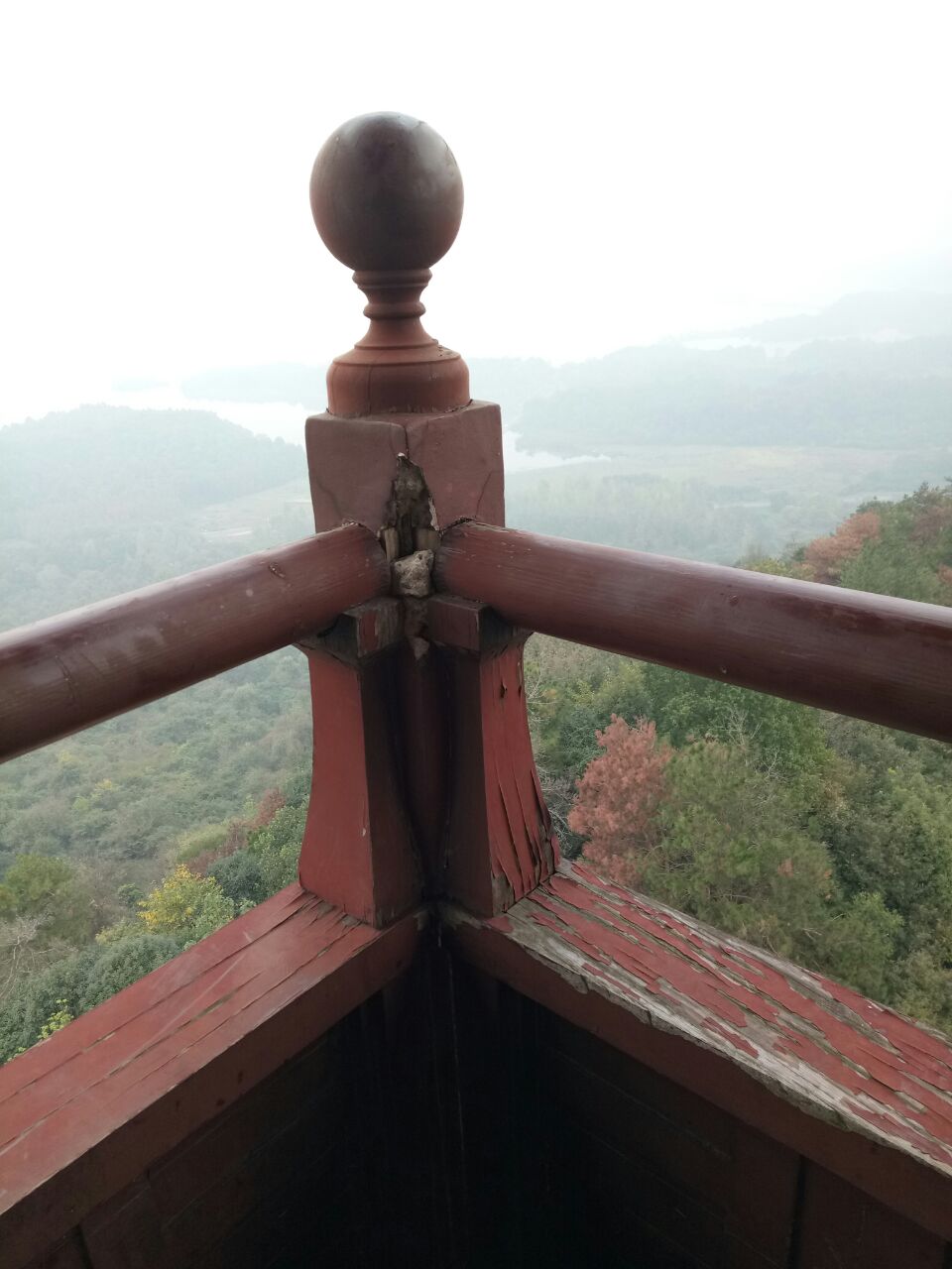 20181008_292421_1538966099605.jpg
